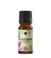 Lavendel rein ätherisches Öl